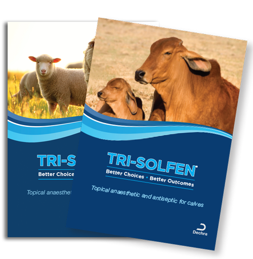 trisolfen_brochures