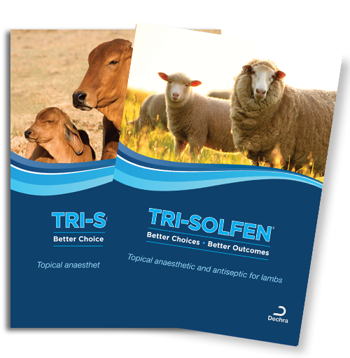 trisolfen_brochures_sheep